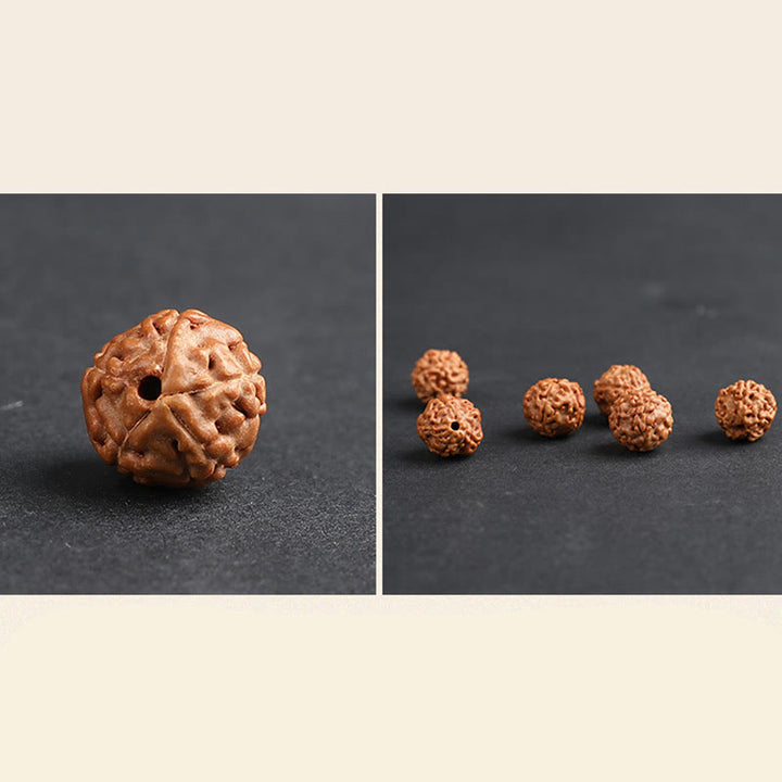 Buddha Stones Tibet Rudraksha Bodhi Seed PiXiu Moneta di rame Braccialetto della fortuna