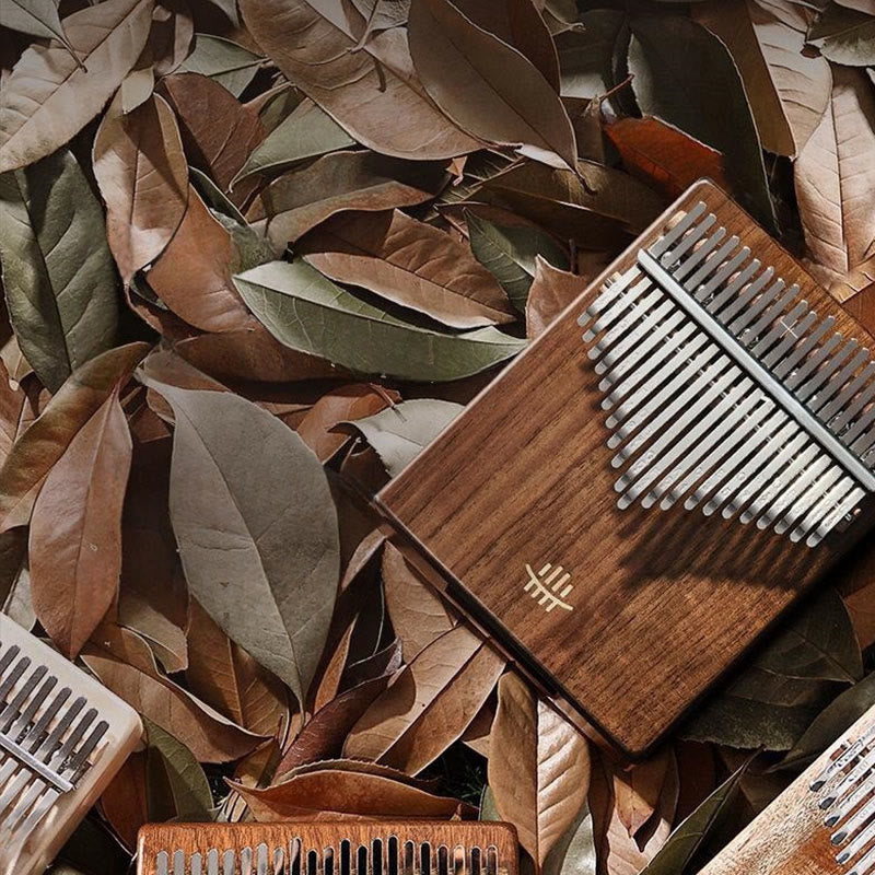 Buddha Stones Kalimba 21 tasti pianoforte a pollice in noce pianoforte portatile per dita