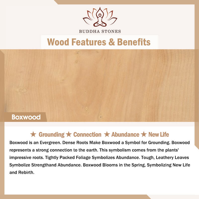 Buddha Stones Naturale Gradiente Bodhi Seed Fortuna Sacchetto di Denaro Loto Saggezza Nappa Polso Mala