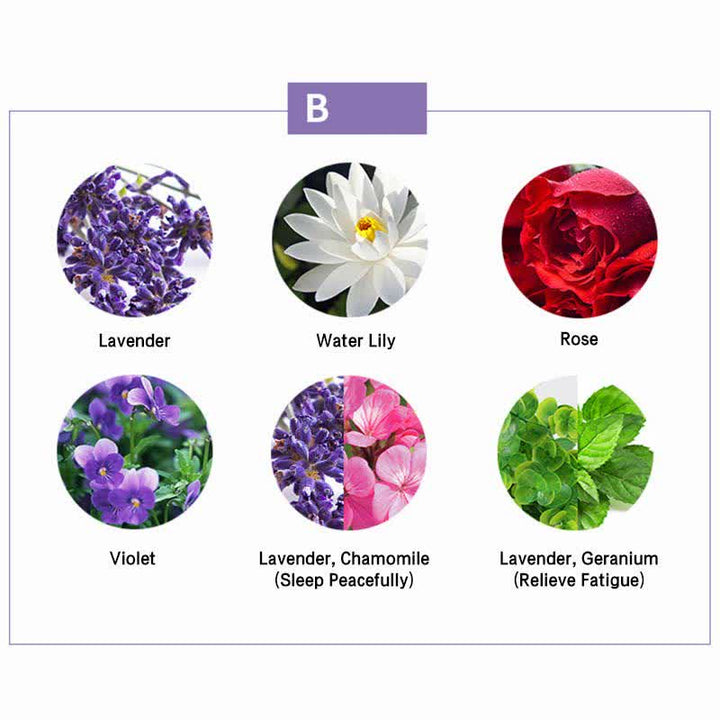 Buddha Stones 6 pezzi Lavanda Arancia Gelsomino Citronella Aromaterapia lenitiva Oli essenziali curativi Set