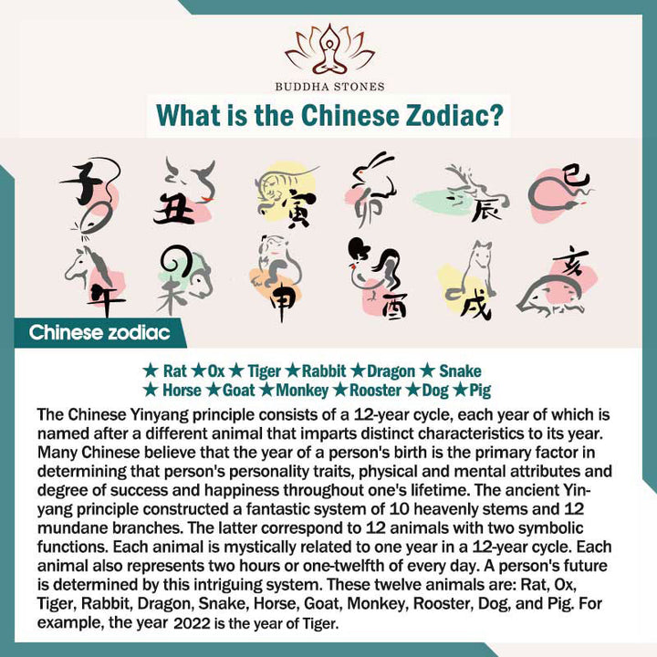 Collana con ciondolo di Buddha natale con proiezione dello zodiaco cinese e della prosperità - image 26