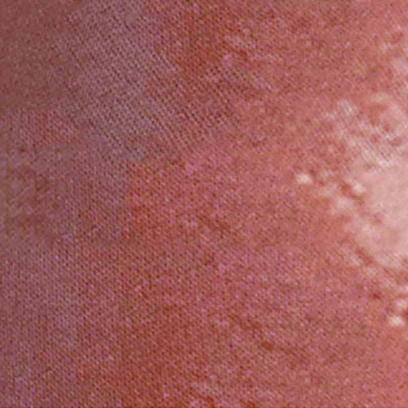 Buddha Stones 2 pezzi Camo Print senza schienale Criss-Cross Strap Top Reggiseno Pantaloncini Leggings Pantaloni Fitness Yoga Outfit Set - image 16