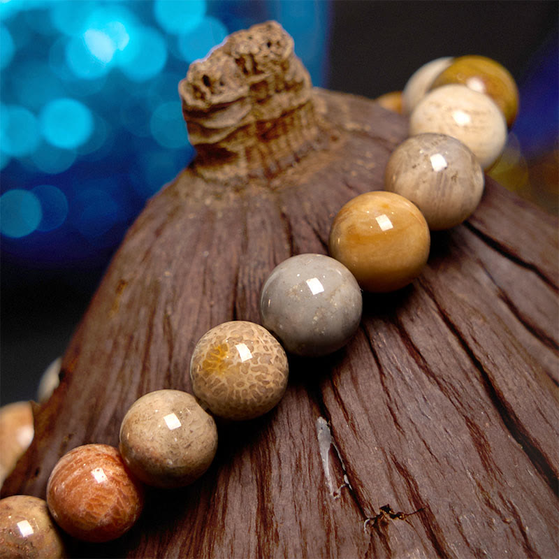 Braccialetto della compassione in corallo fossile Buddha Stones