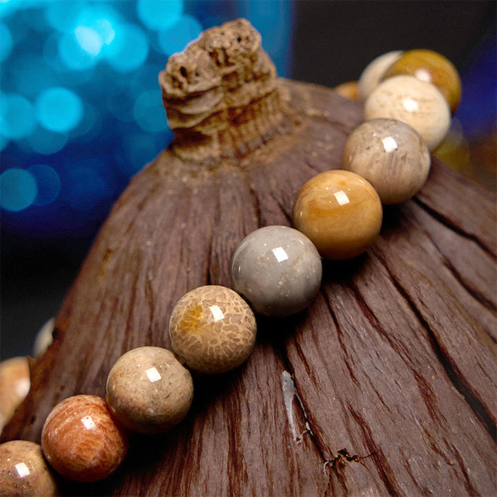 Braccialetto della compassione in corallo fossile Buddha Stones