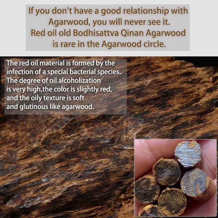 Buddha Stones Cambogia Qinan Agarwood Braccialetto di equilibrio dell'acqua che affonda a nove punti