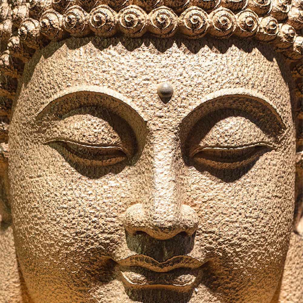 Statua in resina con testa di Buddha in meditazione, occhi chiusi, decorazione zen per la casa, 42*30*30 cm
