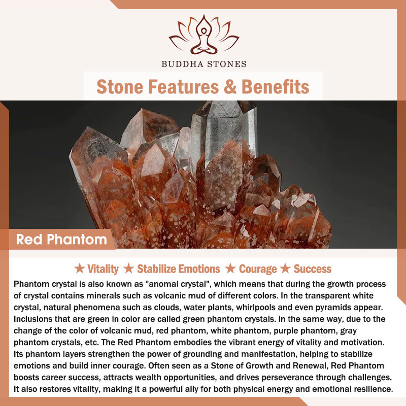 Braccialetto di protezione Yin Yang fantasma rosso Buddha Stones Lightning Struck Wood - image 6
