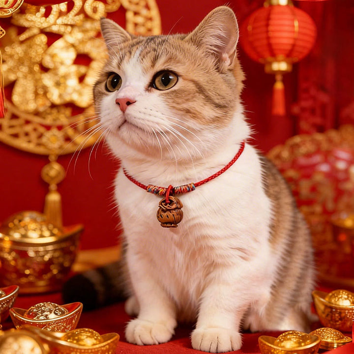 Buddha Stones Collare per cani e gatti con cordino intrecciato rosso pesca, regolabile e resistente. - image 12