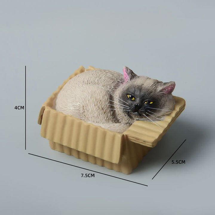 Buddha Stones Gatto addormentato dipinto in una scatola di carta, resina, decorazione a forma di animale carino - siamese - image 13