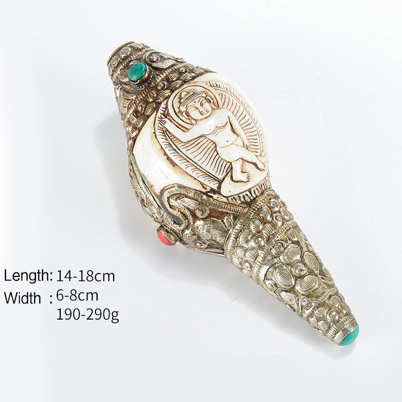 Decorazione positiva della ricchezza della conchiglia del Buddha Shankha incisa a mano tibetana