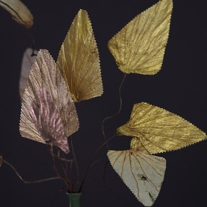 Mazzo di fiori di loto triangolare essiccato naturale con gambo di foglia di loto, ornamenti per la decorazione della casa