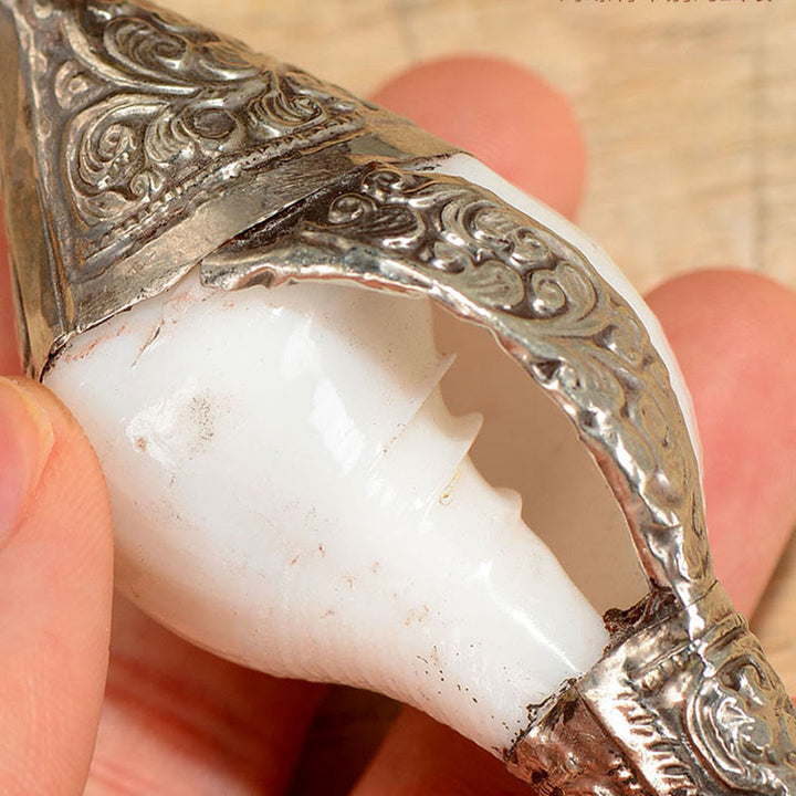 Conchiglia naturale tibetana Shankha conchiglia conchiglia ricchezza fortuna decorazione della casa - image 5