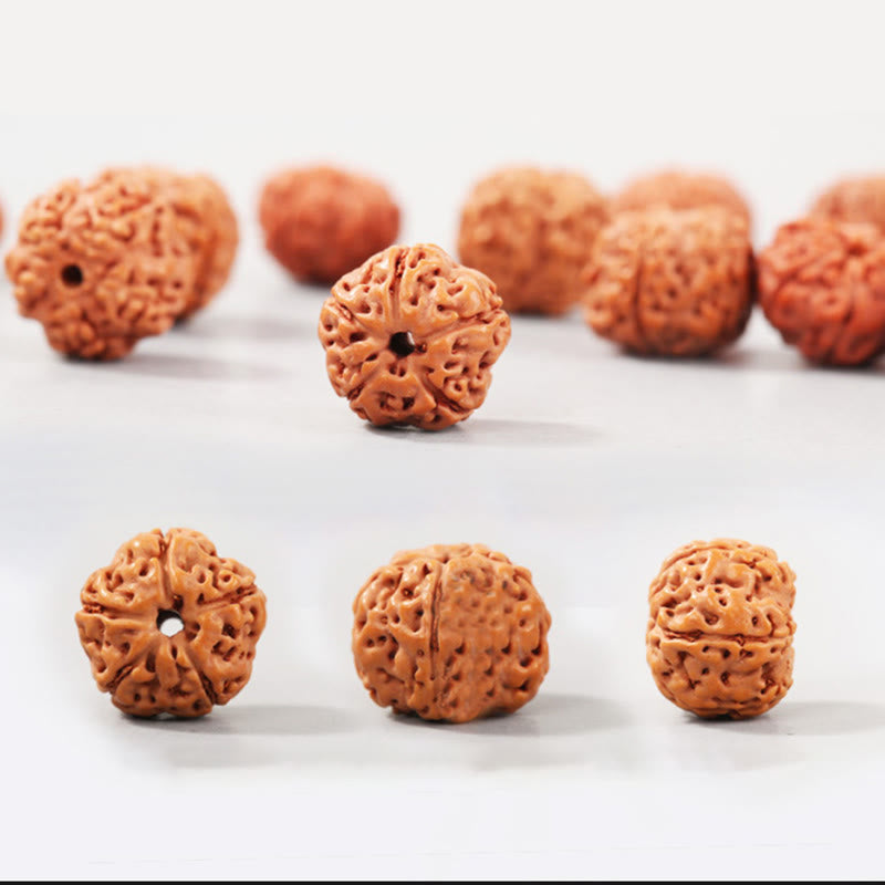 Buddha Stones Tibet Rudraksha Bodhi Seme Ricchezza Auspicio Bracciale - image 4