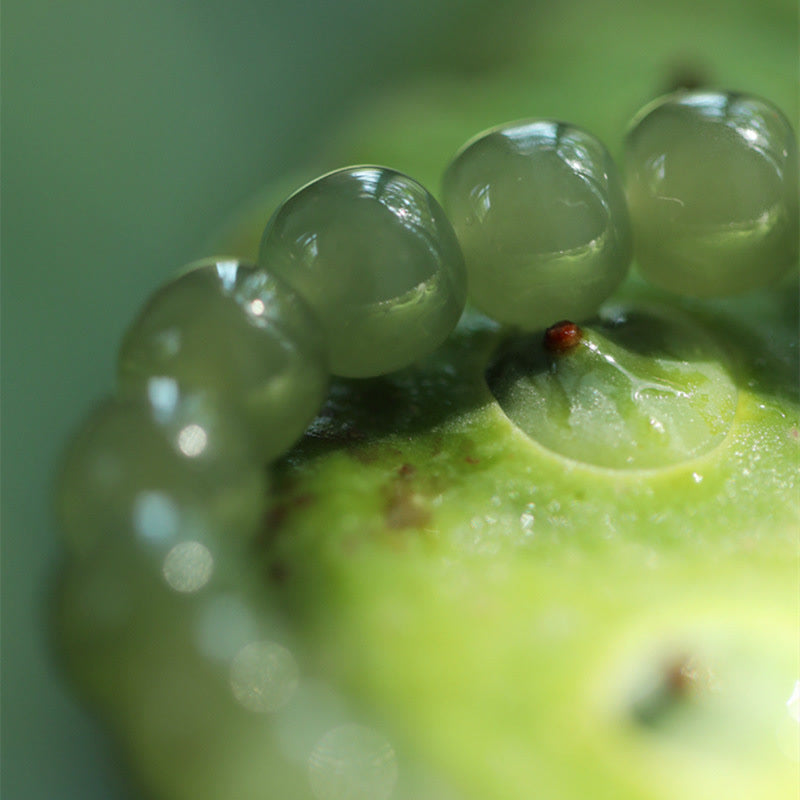 Buddha Stones Bracciale regolabile Jade Lotus Abundance - image 11