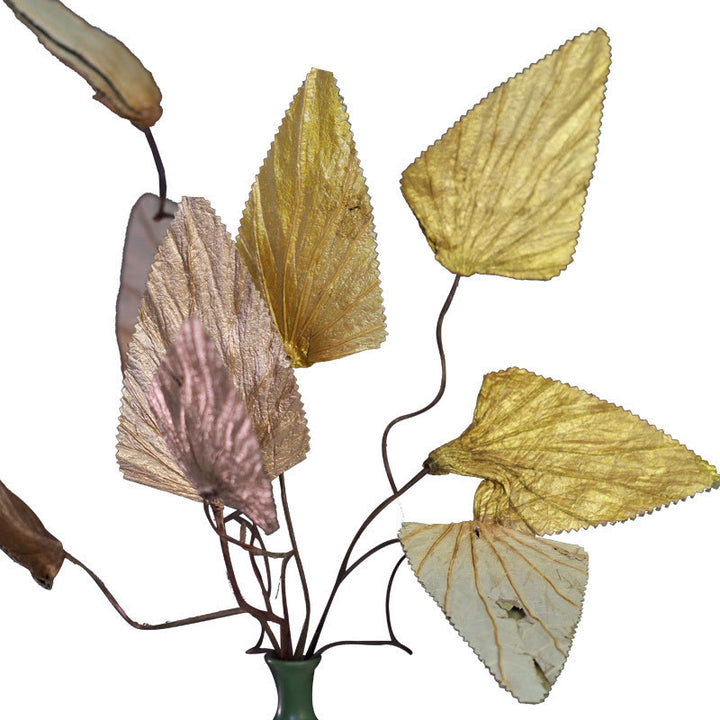 Mazzo di fiori di loto triangolare essiccato naturale con gambo di foglia di loto, ornamenti per la decorazione della casa