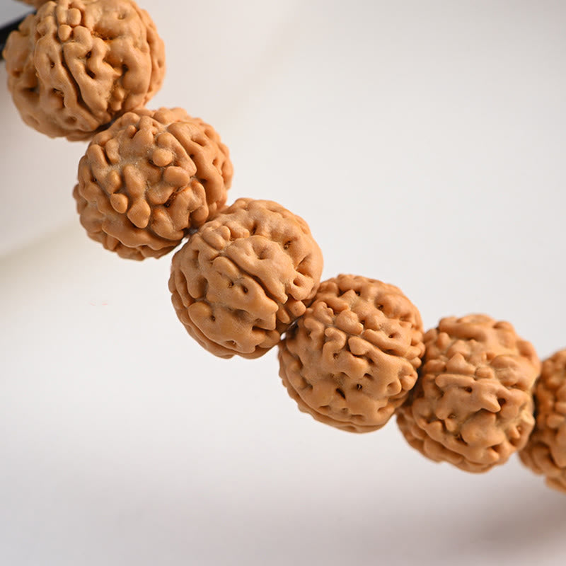 Buddha Stones Tibet Rudraksha Bodhi Seme Ricchezza Auspicio Bracciale