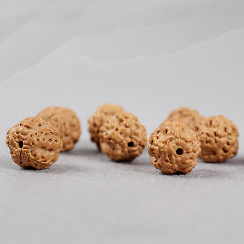 Buddha Stones Tibet Rudraksha Bodhi Seed Dzi Bead Ambra Turchese Bracciale della Ricchezza