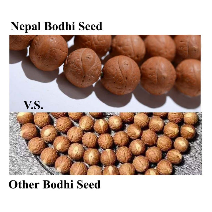 Buddha Stones 108 Mala Beads Nepal Bodhi Seed Fortuna Ricchezza Braccialetto con Nappa - image 12