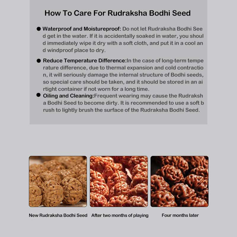 Buddha Stones Tibet Rudraksha Bodhi Seed Dzi Bead Ambra Turchese Bracciale della Ricchezza - image 22