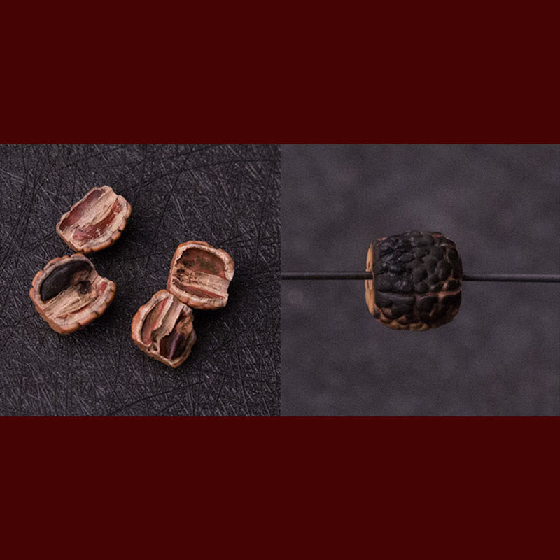 Tibet 108 Mala Beads Rudraksha Bodhi Seed Zodiaco Cinese Natale Buddha Ricchezza Braccialetto Charm