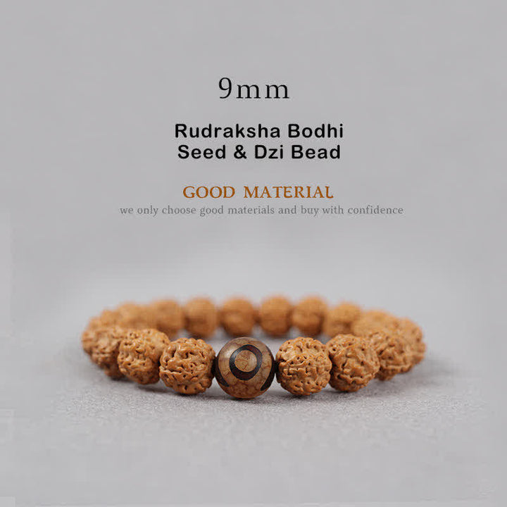 Buddha Stones Tibet Rudraksha Bodhi Seed Dzi Bead Ambra Turchese Bracciale della Ricchezza