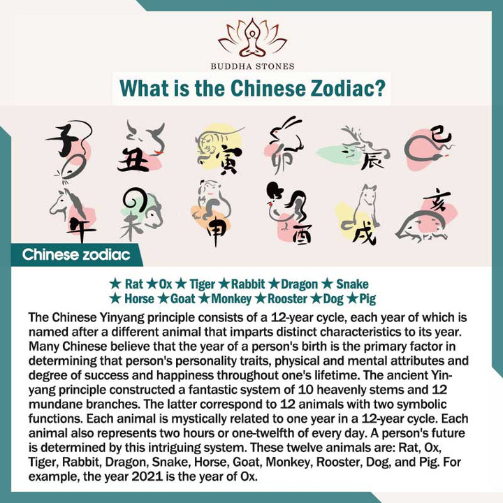 Collana di protezione in ossidiana dello zodiaco cinese