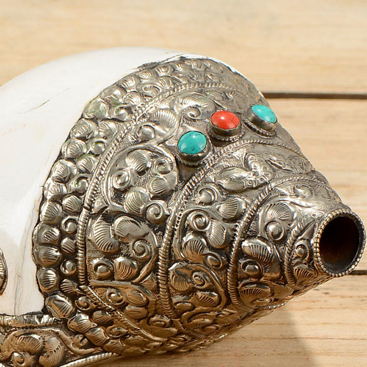 Conchiglia naturale tibetana Shankha conchiglia conchiglia ricchezza fortuna decorazione della casa