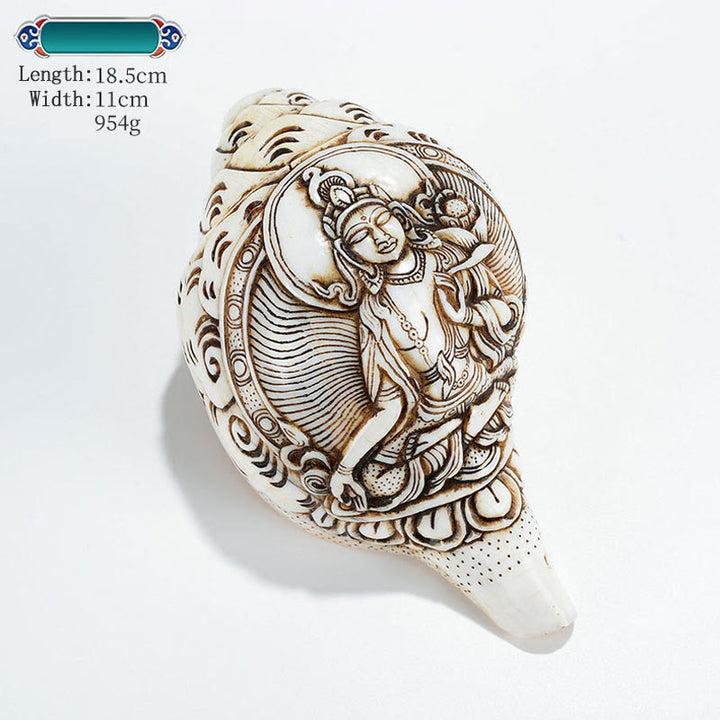 Decorazione di ricchezza di conchiglia di conchiglia di Avalokitesvara Buddha tibetano inciso a mano Shankha - Tara bianca 18,5*11 cm - image 27