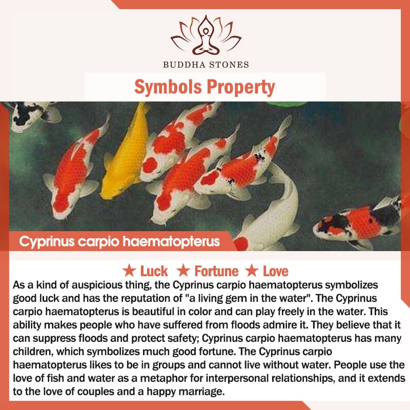 Decorazione per bruciatore di incenso portafortuna con pesce koi Buddha Stones