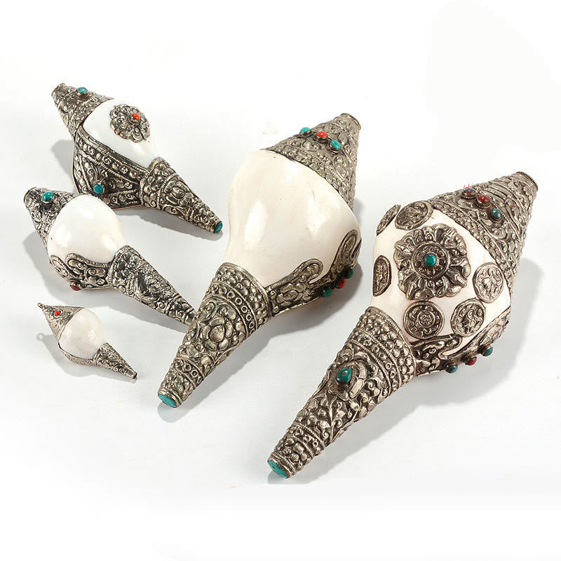 Conchiglia naturale tibetana Shankha conchiglia conchiglia ricchezza fortuna decorazione della casa - image 19