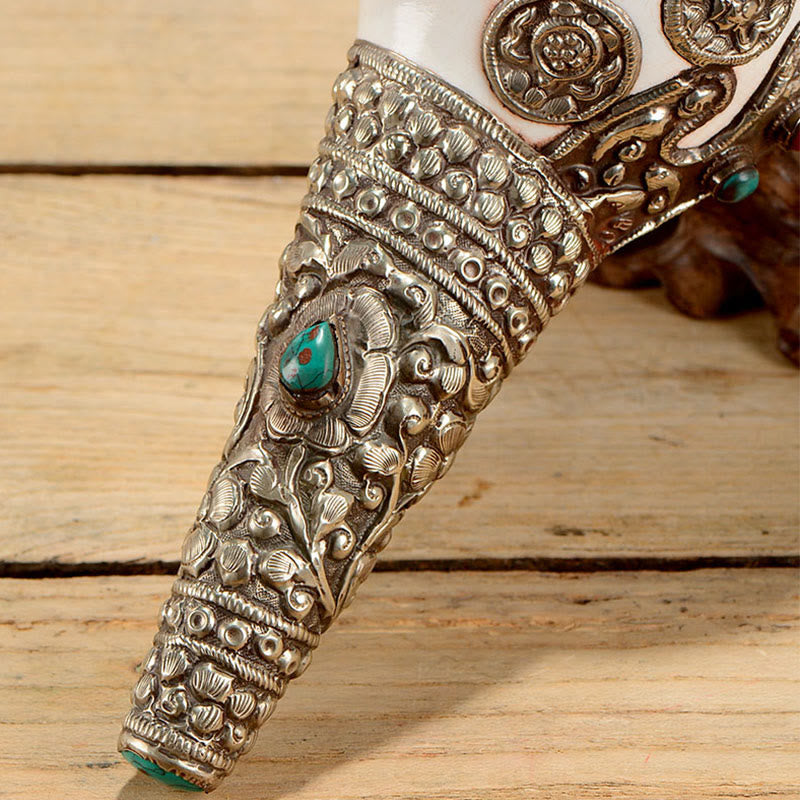 Conchiglia naturale tibetana Shankha conchiglia conchiglia ricchezza fortuna decorazione della casa - image 16