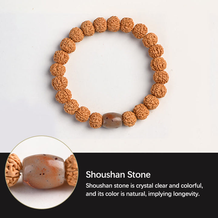 Buddha Stones Tibet Rudraksha Bodhi Seme Ricchezza Auspicio Bracciale