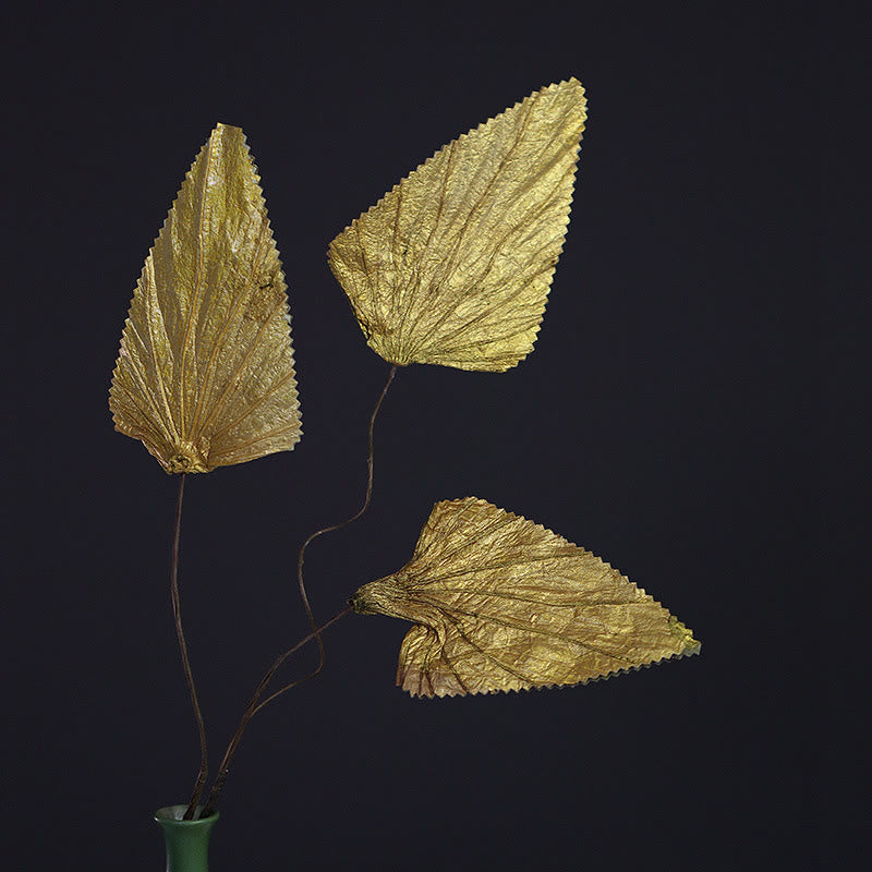 Mazzo di fiori di loto triangolare essiccato naturale con gambo di foglia di loto, ornamenti per la decorazione della casa