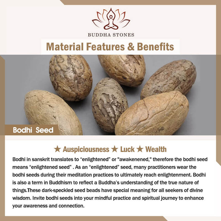 Buddha Stones Bodhi Seme Fortuna Auspicio Mala da polso Nappa Mala tascabile