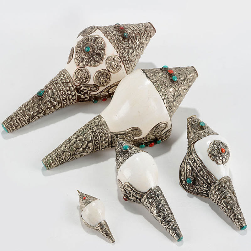 Conchiglia naturale tibetana Shankha conchiglia conchiglia ricchezza fortuna decorazione della casa - image 20