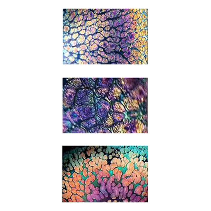 Buddha Stones fatte a mano Fiori di ciliegio Sakura Design Tazza da tè in ceramica cinese Jianzhan Tazza da tè Kung Fu